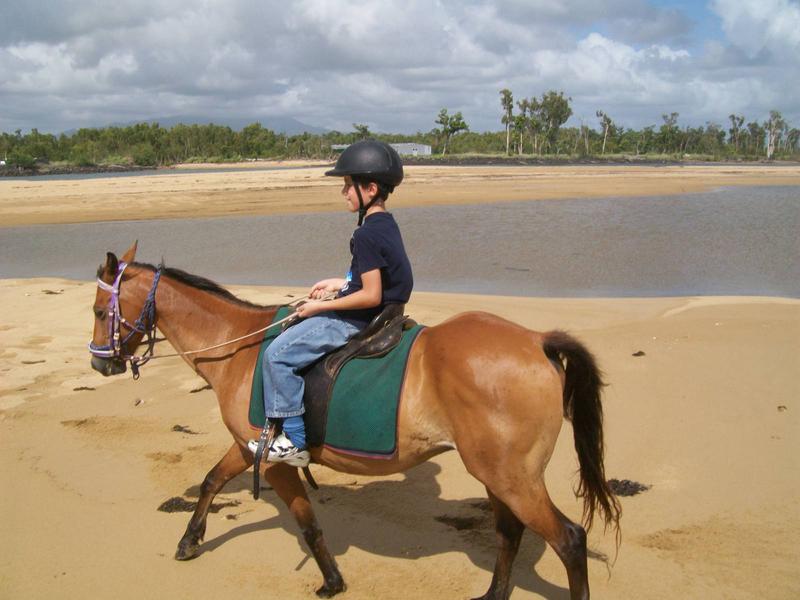 Kurrimine Beach Horse Rides