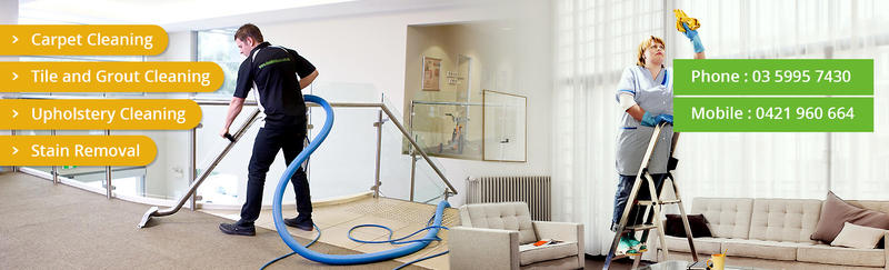 Green Glove Carpet Cleaning