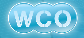 Window Cleaning Online
