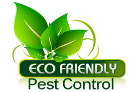 Millennium Pest Control