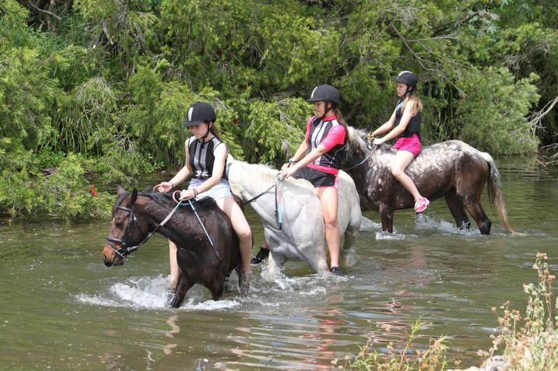 Gold Coast Equestrian Centre: Guanaba