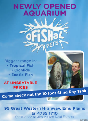Ofishal Pets