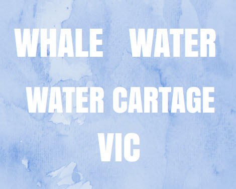 Whale Water: John Peace