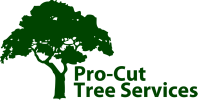 Pro Cut Tree Removal