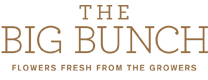 The Big Bunch logo