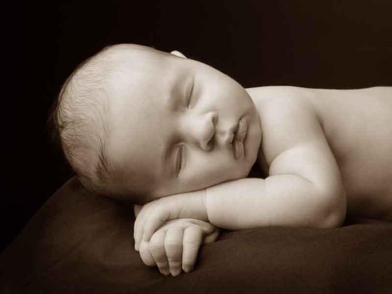 Viva Life Photography