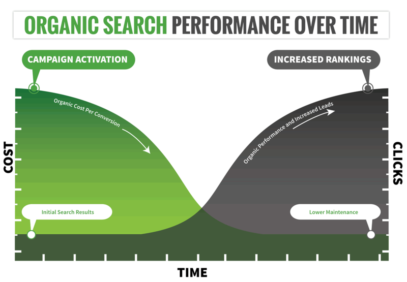 SEO Perth Experts
