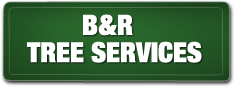 B&R Tree Services logo