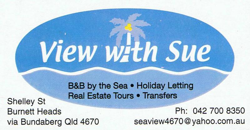 View With Sue logo