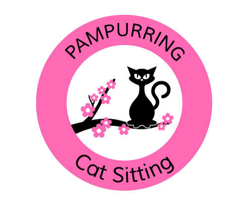 Pampurring Cat Sitting