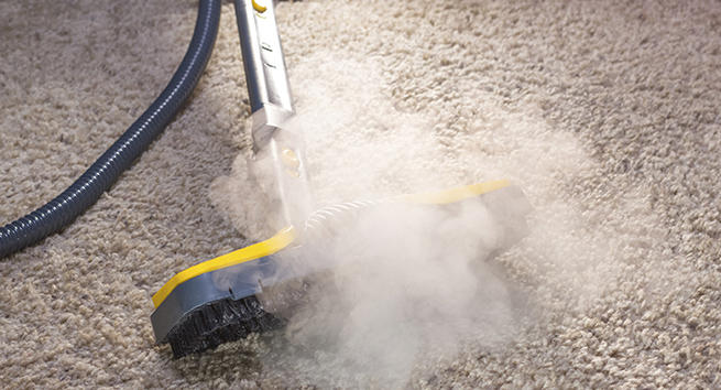 Terry's Steam Cleaning Solutions