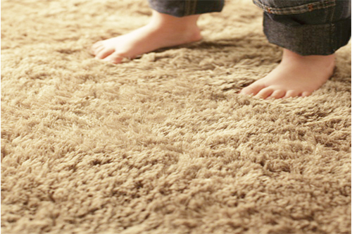 TJs Premium Carpet & Upholstery Cleaning