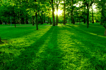 Greenfields Funerals