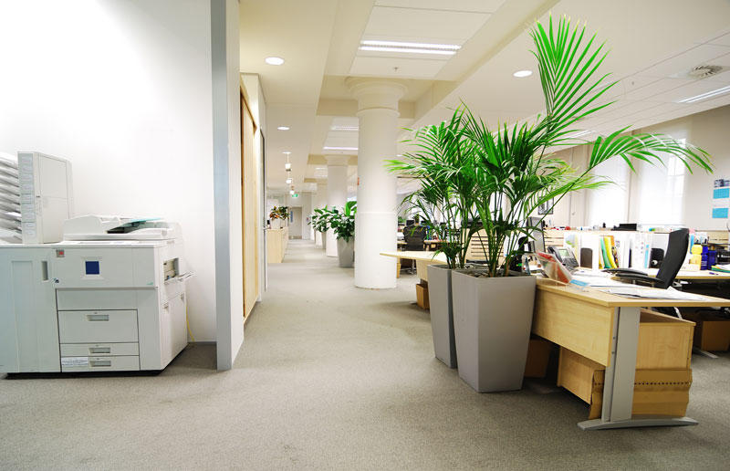 Wow Professional Services Pty Ltd: Spence