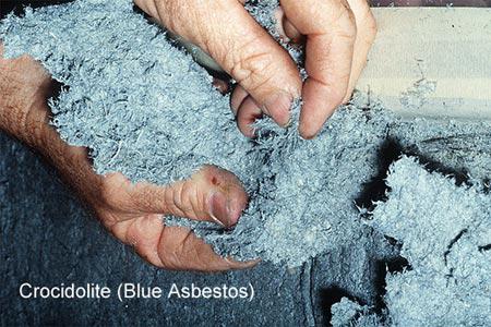 Asbestos Solutions and Management Pty Ltd
