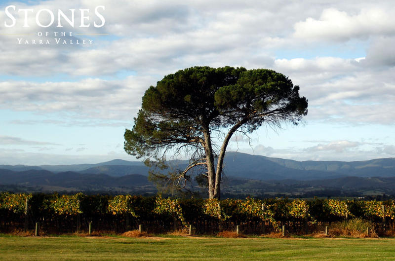 Stones Of The Yarra Valley