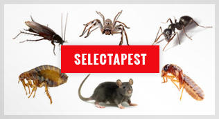 Selectapest