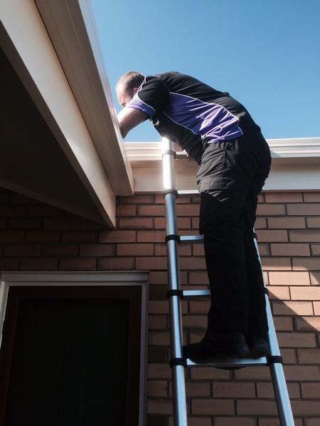 Express Building and Pest Inspections: West Lakes