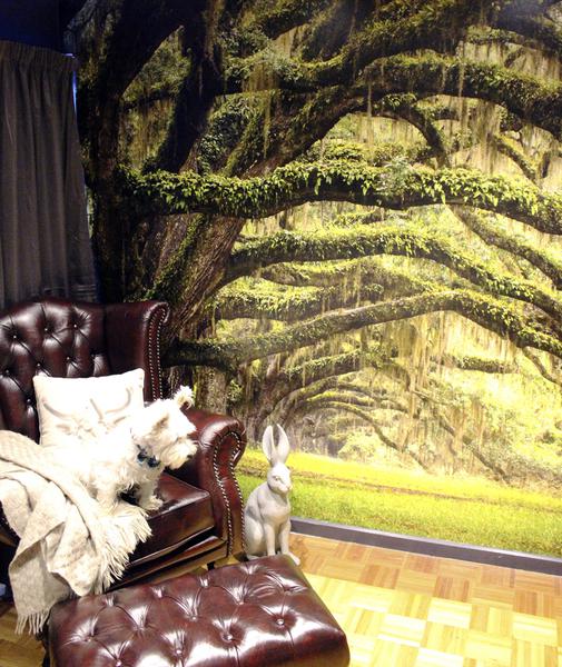 Stephen Brophy Painters & Decorators