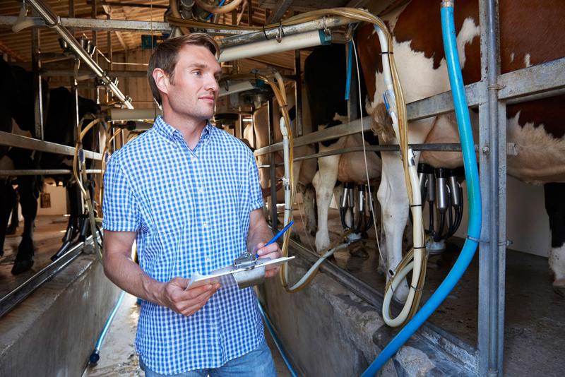 Chandler Agribusiness