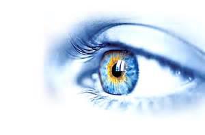 Queensland Surveillance Pty Ltd
