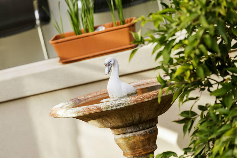 Estia Health: Bendigo