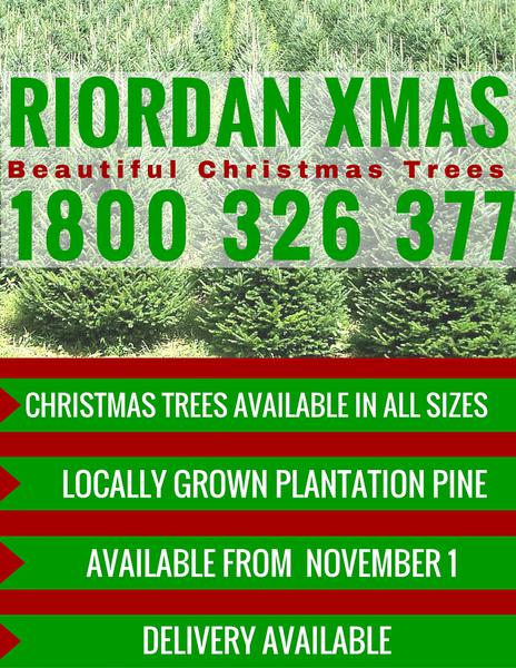 Riordan Xmas