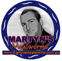 Martyn's Mealworms