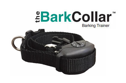 BigLeash Remote Training Collars