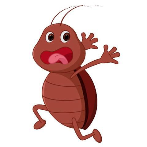Run Away Bugs