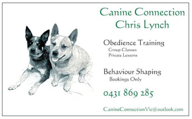 Canine Connection