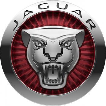 Lennock Jaguar