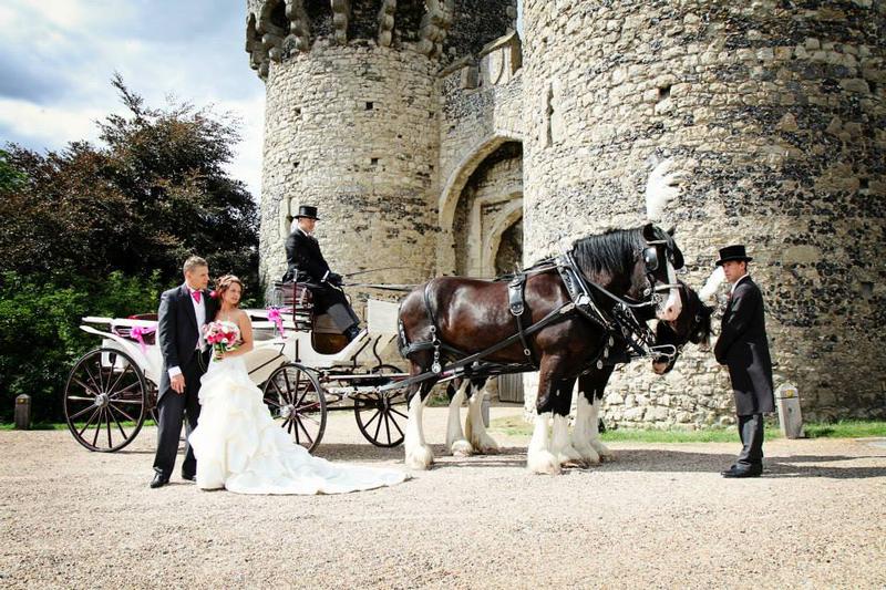 Drayhorse Shires