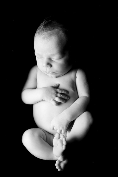Bebe Photography