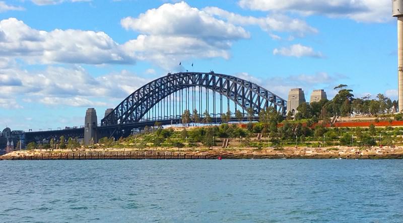 Sydney Cove Water Taxis