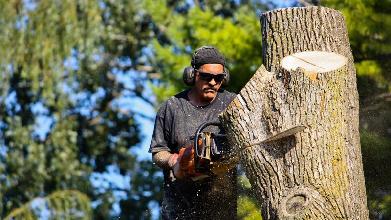 J & H Tree Lopping