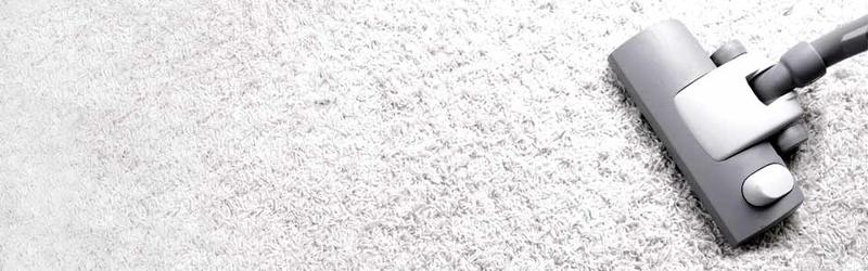 Carpet Steam Cleaner
