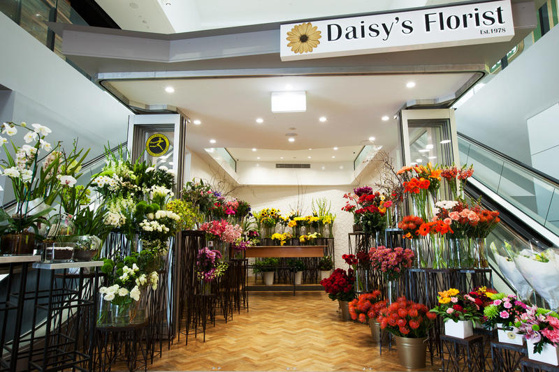 Daisy's Florist: Toowong
