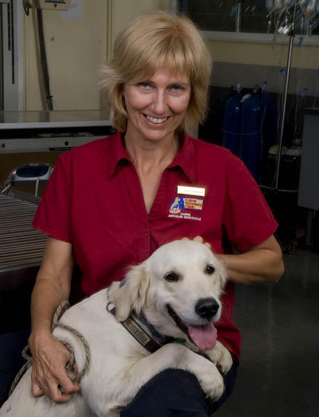 Cairns Veterinary Clinic
