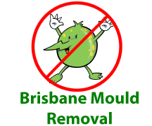 Mould Removal Brisbane logo