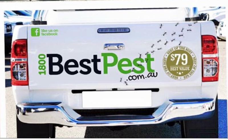 1800 Best Pest