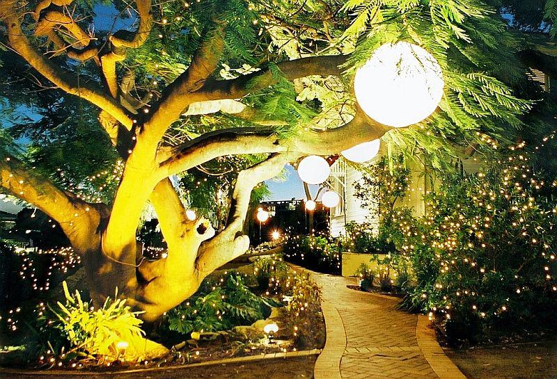 Jim Philp Garden Event and Wedding Lights