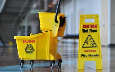 Carnival Cleaning Service