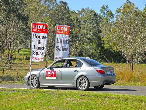 Lion Land Marketing