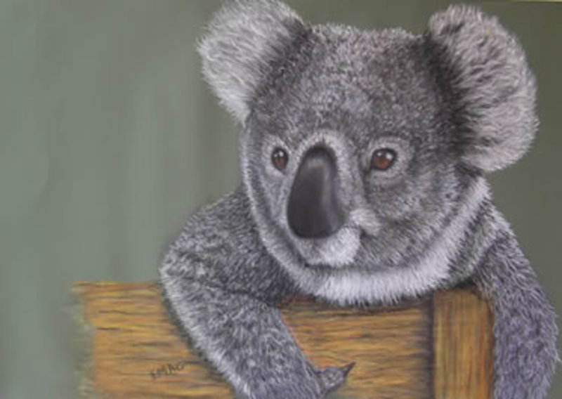 Monkey Paw Gallery: The Art of Liz Macintyre