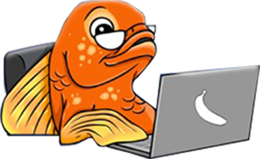 Guppy's Aquarium Products Online