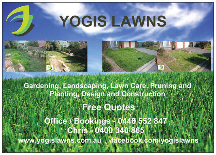 Yogi's Lawns