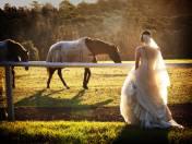Diverze Photography