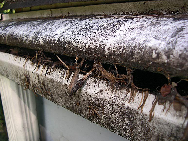 Gutter Guards Specialists
