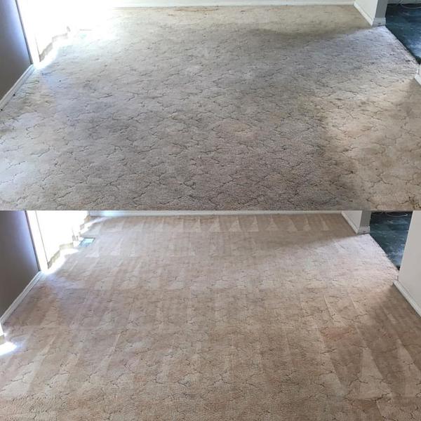 Professional Touch Carpet Cleaning